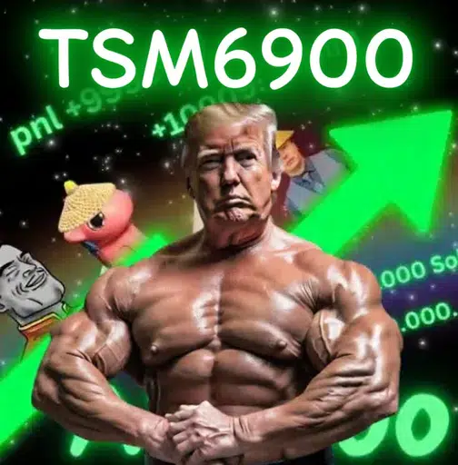 TSM6900