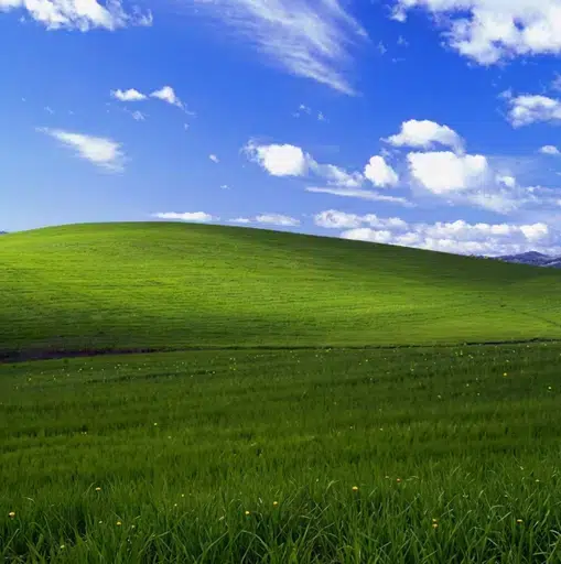 Grass