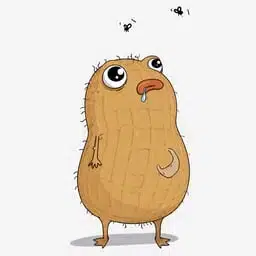 PEANUT