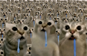 BILLI