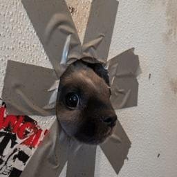 GloryHole