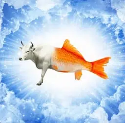 bullish