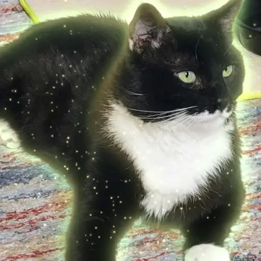 PEPE