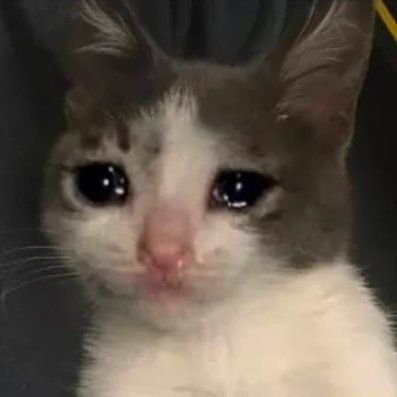 SADCAT