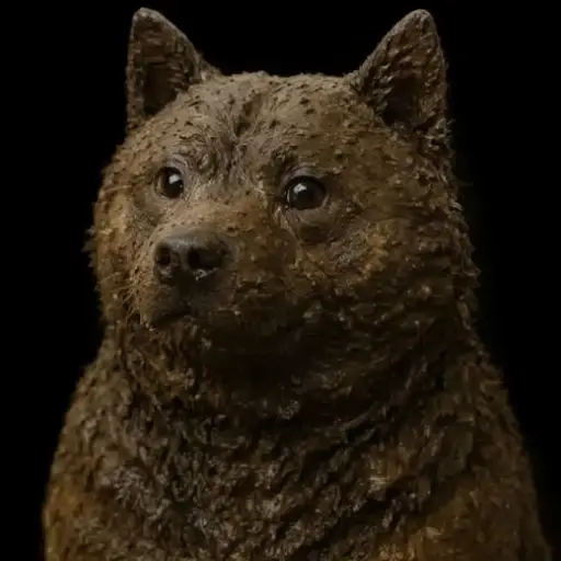 dogshit