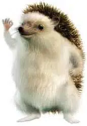 edgehog