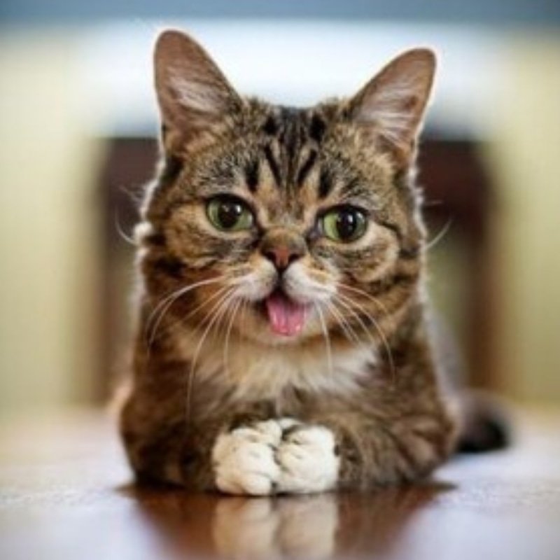 BUB