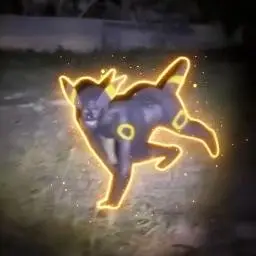 NIggachu