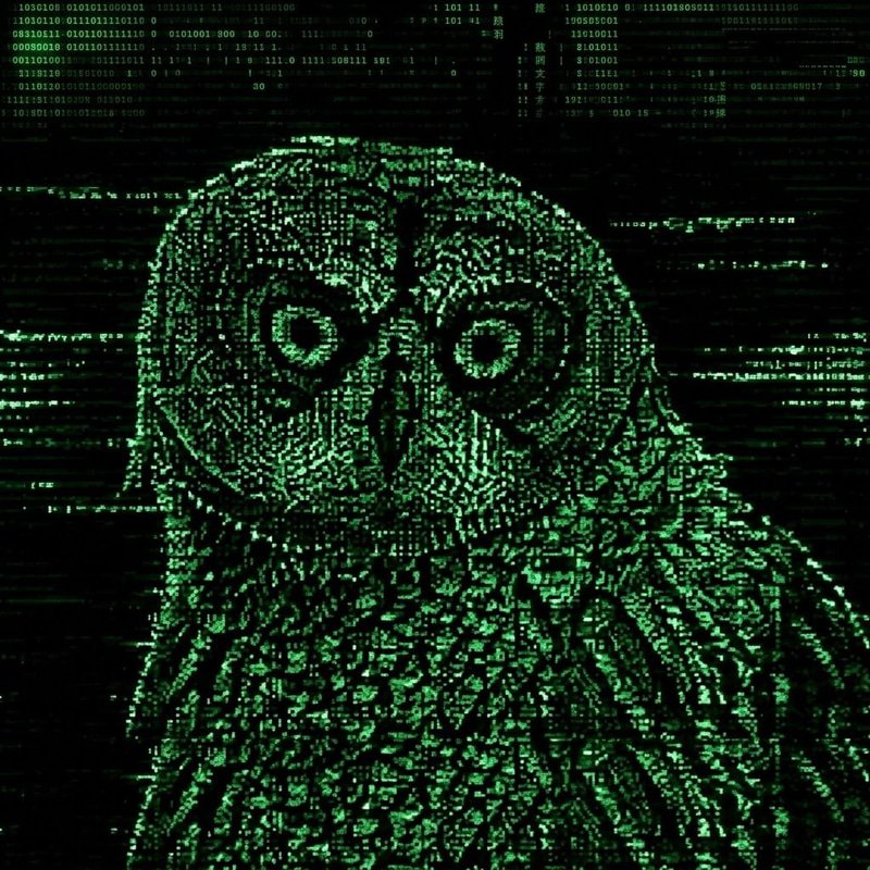 HOOT logo