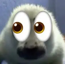 👀