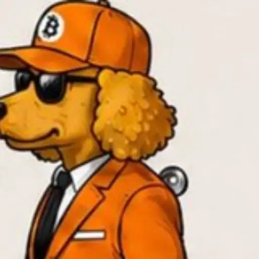 BITDAWG