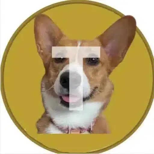 TRUDY logo