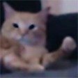 FCAT — First PF deployed by cat Solana token traded by KOLs