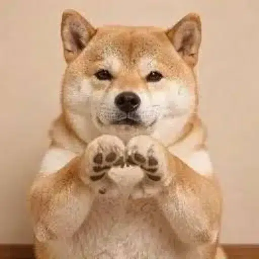 DOGE