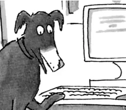 dog