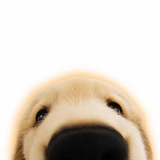 Boop