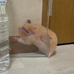 のん