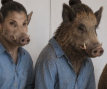 BOAR