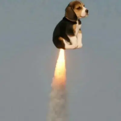 LAUNCHDOG