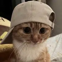 Capy