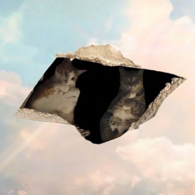 ceilingcats