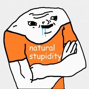 STUPIDITY