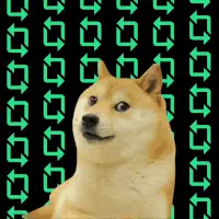 RDOGE