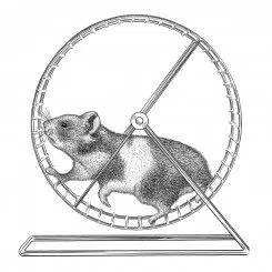 Wheel