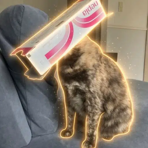 シグマ