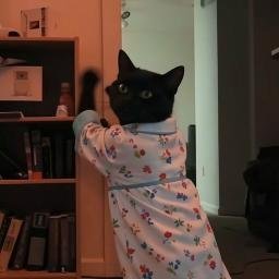 Pajamas 
