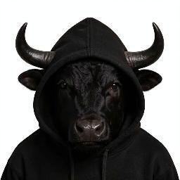 BIH — Bull In Hood Solana token traded by KOLs
