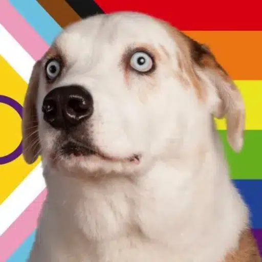 WOOF
