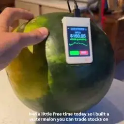 WATERMELON