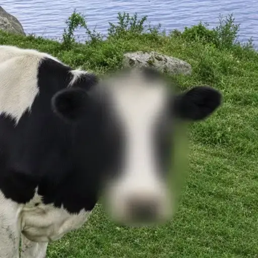 ZCOW