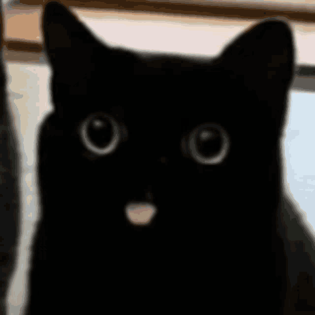 blep