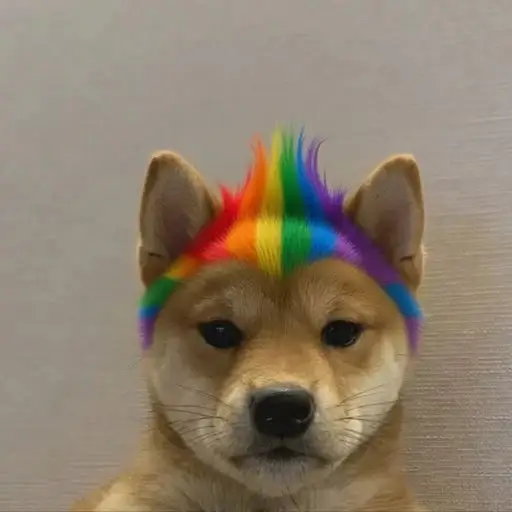 Cat/Dog