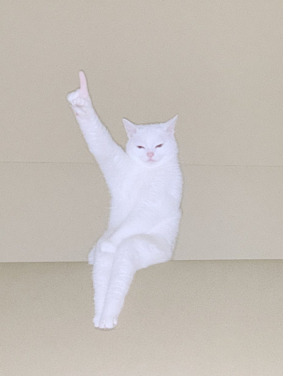 UPCAT