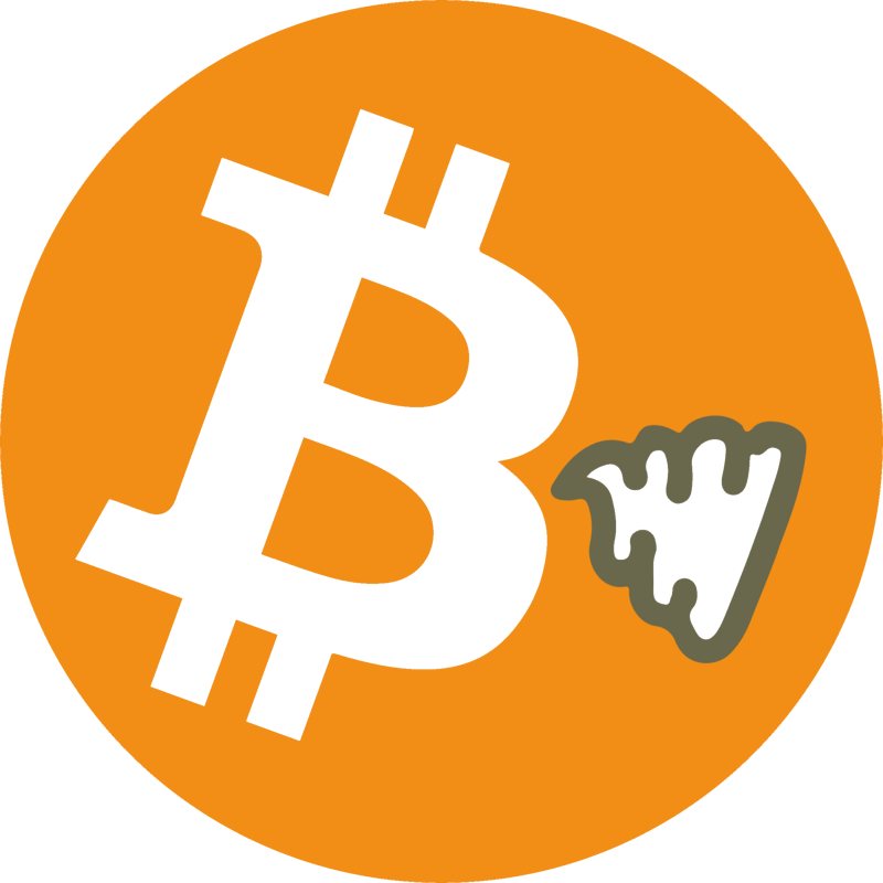 shitcoin