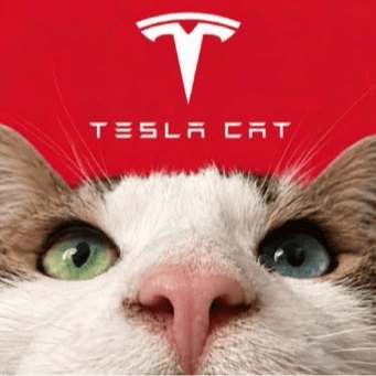 Tcat