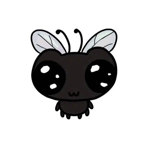 FLY