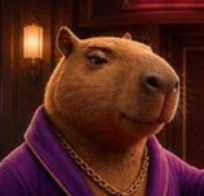 CAPY