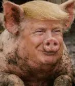 POTUS