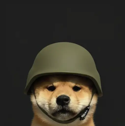 pfdog