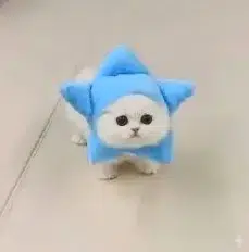 gcat