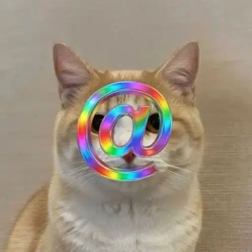 c@t