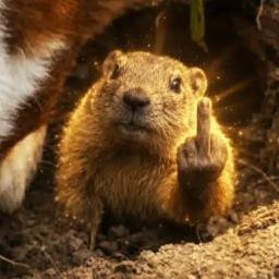 GOPHER