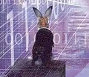 MrRabbit
