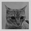 Kevin — The Mugshot Cat Solana token traded by KOLs