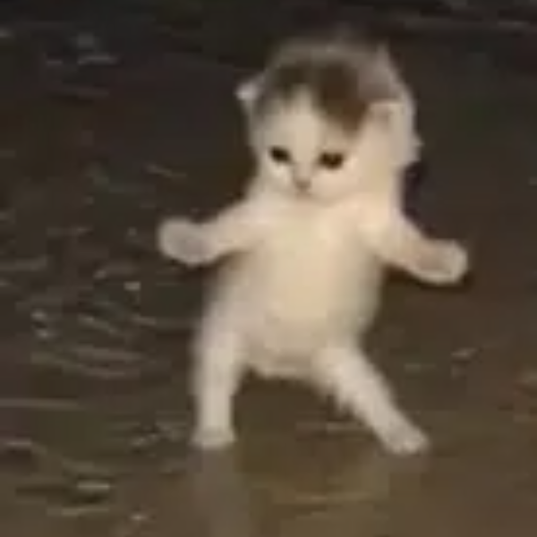 Gemi