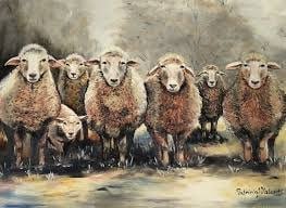 Herd